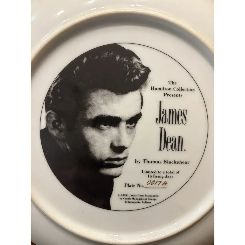 VTG James Dean Hamilton Collection Collector Plate Thomas Blackshear 1991 #0017A